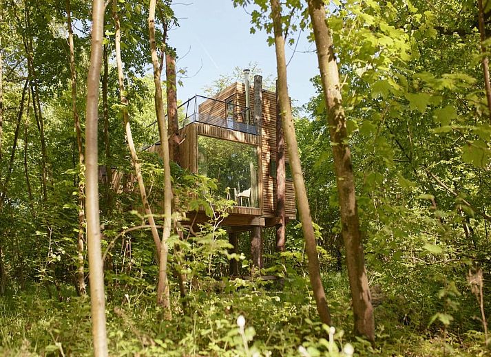Unterkunft 07356165 - Ferienhaus Hennegau - The TreeLoft by YourNature