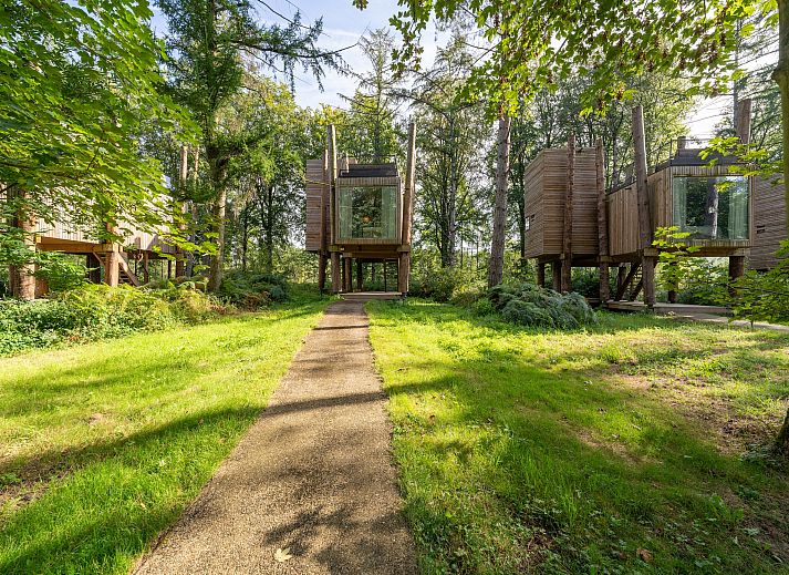 Unterkunft 07356165 - Ferienhaus Hennegau - The TreeLoft by YourNature