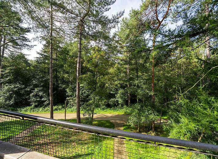 Unterkunft 07356165 - Ferienhaus Hennegau - The TreeLoft by YourNature