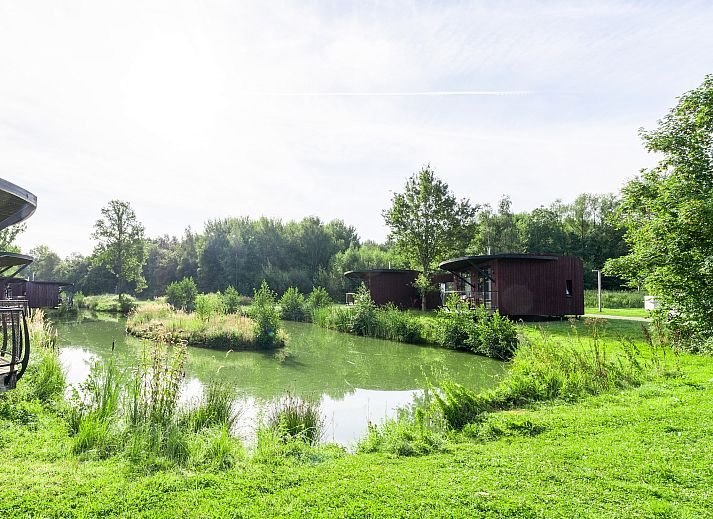 Unterkunft 07356193 - Bungalow Hennegau - The Large Leaf by YourNature