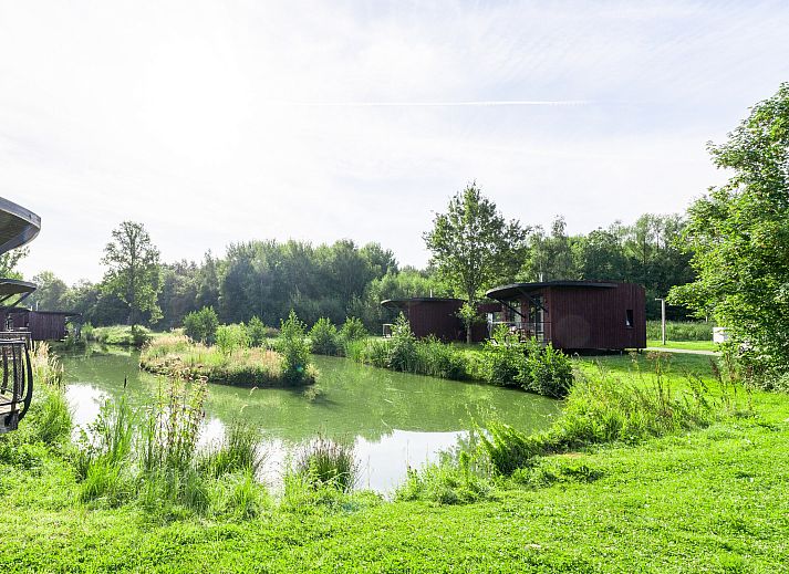 Guest house 07356201 - Bungalow Hainaut - The Large Leaf by YourNature
