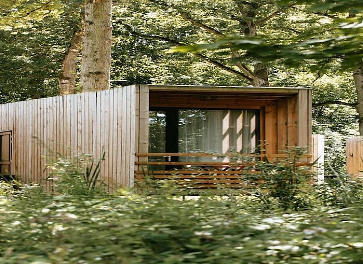 Guest house 0735630 - Chalet Hainaut - The Lodge by YourNature