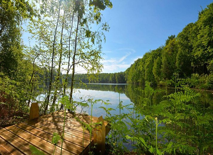 Unterkunft 0735632 - Chalet Hennegau - The Blue Lodge by YourNature
