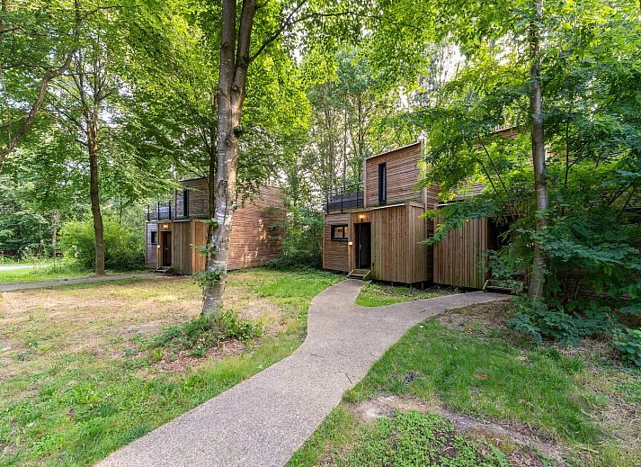 Guest house 0735646 - Chalet Hainaut - The Cottage by YourNature
