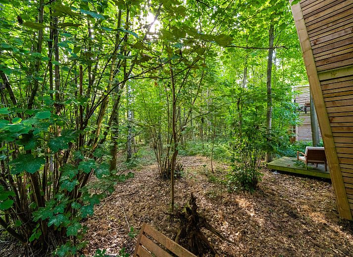 Guest house 0735647 - Chalet Hainaut - The Cottage by YourNature
