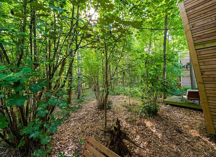Guest house 0735660 - Chalet Hainaut - The Cottage by YourNature