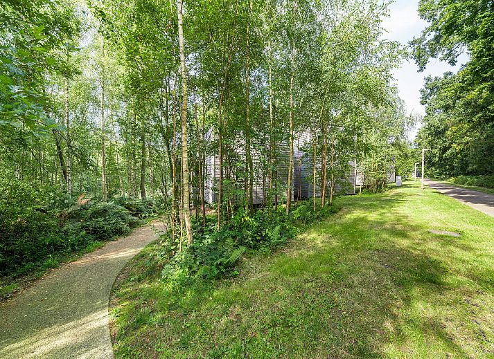 Unterkunft 0735667 - Ferienhaus Hennegau - The Lake House by YourNature