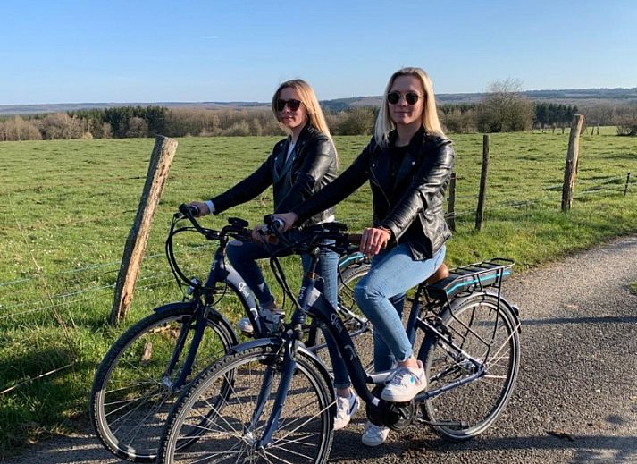 Gemuetliches Wohnzimmer mit Kamin in Les Confidences de Messire Sanglier, Ferienhaus in den Ardennen, Belgien.