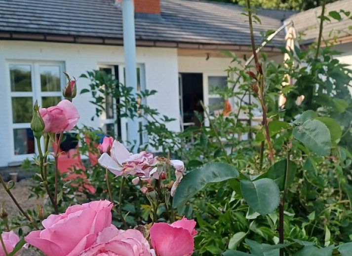 Ferienhaus mit Schwimmbad, umgeben von gruener Natur in Profondeville, Ardennen, Belgien.
