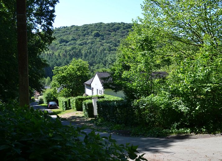 Blick auf das Schwimmbad und die gruene Umgebung des Ferienhauses in Profondeville, Ardennen, Belgien.