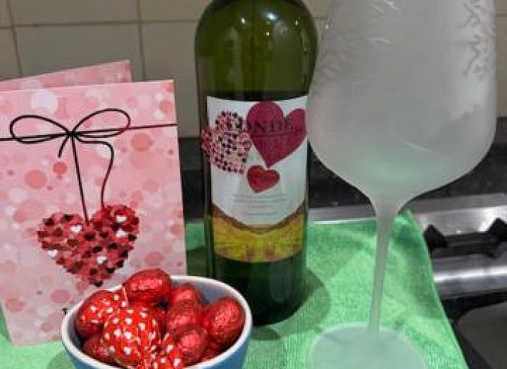 Guest house 081113 - Apartment Belgian Coast - Apartment Mauritius