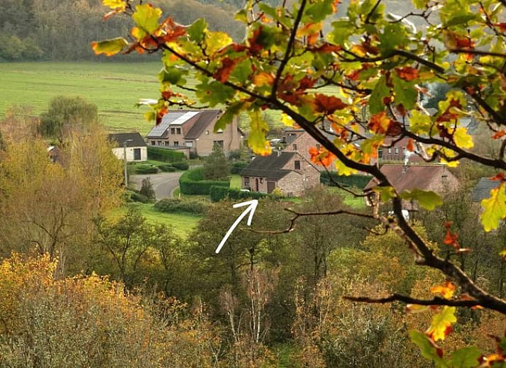 Guest house 0811802 • Holiday property Namur • Vakantiehuis in Olloy-sur-Viroin 