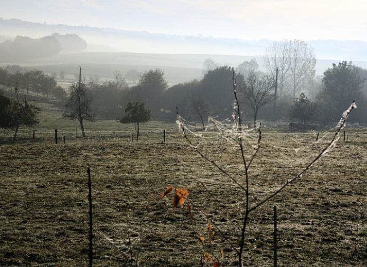 Unterkunft 0812403 - Ferienhaus Namur - Huisje in Maillen