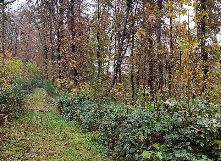 Comfortable bedroom in cottage in Fosses-la-Ville, restful space in the Ardennes, Belgium.