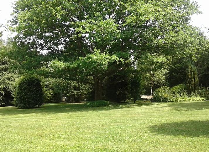 Guest house 0821605 - Holiday property Namur - Vakantiehuisje in Rienne