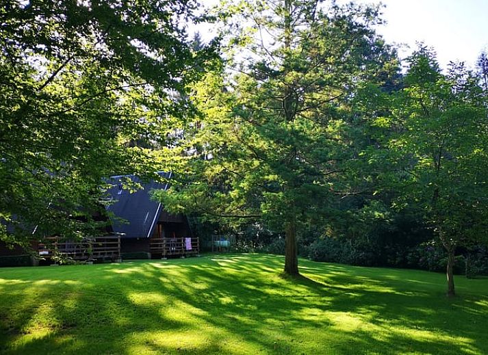 Charmantes Chalet Ferienhaus in Bohan mit Holzveranda in den Ardennen, Namur, Belgien.