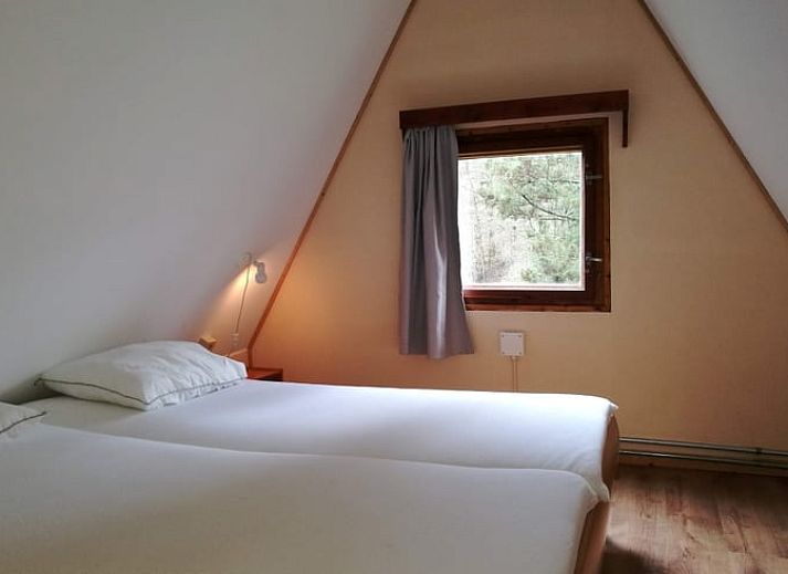 Gruene Umgebung im Ferienhaus in Bohan, mit Blick auf eine ueppige Landschaft in den Ardennen, Namur.