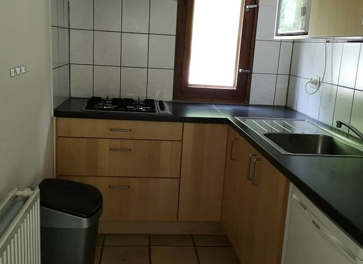 Gruene Umgebung im Ferienhaus in Bohan, mit Blick auf eine ueppige Landschaft in den Ardennen, Namur.