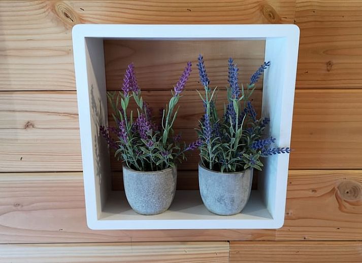 Cottage in Bohan, Ferienhaus in den Ardennen, umgeben von Natur und Ruhe in Bohan, Namur, Belgien.