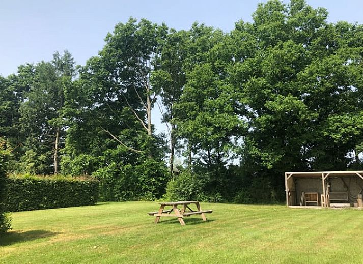 Ontspannen in ligstoelen met uitzicht op de natuur bij Vakantiehuisje in Gros Fays, Ardennen, Namen, Belgie.