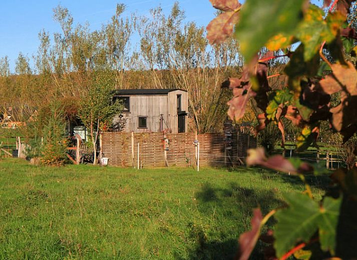 Illuminated wooden cottage Cottage in Gesves, located in the serene Ardennes, Belgium, with atmospheric lights.