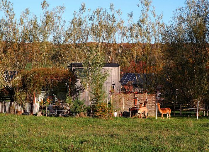 Snowy landscape around Cottage in Gesves, a cottage in the Ardennes, with a charming wooden veranda.