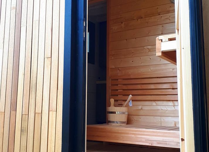 Alpacas in the natural surroundings of Cottage in Gesves, a vacation home in the peaceful Ardennes, Belgium.