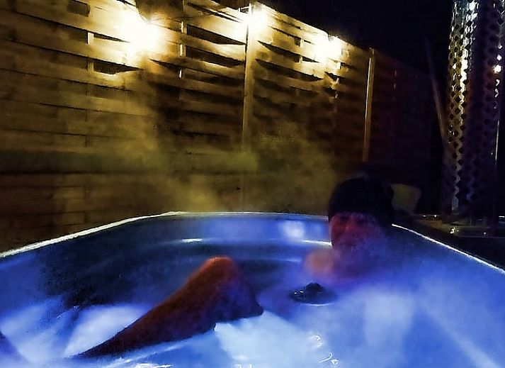 Alpacas in the natural surroundings of Cottage in Gesves, a vacation home in the peaceful Ardennes, Belgium.