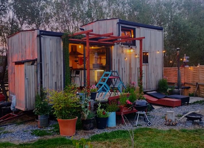 Alpacas in the natural surroundings of Cottage in Gesves, a vacation home in the peaceful Ardennes, Belgium.