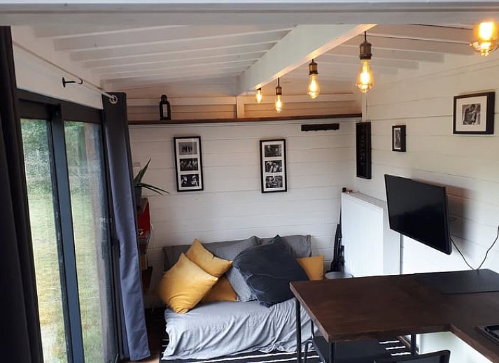 Alpacas grazing at Cottage in Gesves, a vacation home in the green surroundings of the Ardennes, Belgium.