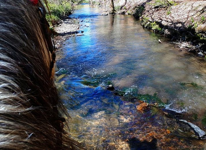 Outdoor area of Cottage in Gesves with fire basket and colorful chairs, vacation home in Ardennes, Belgium.