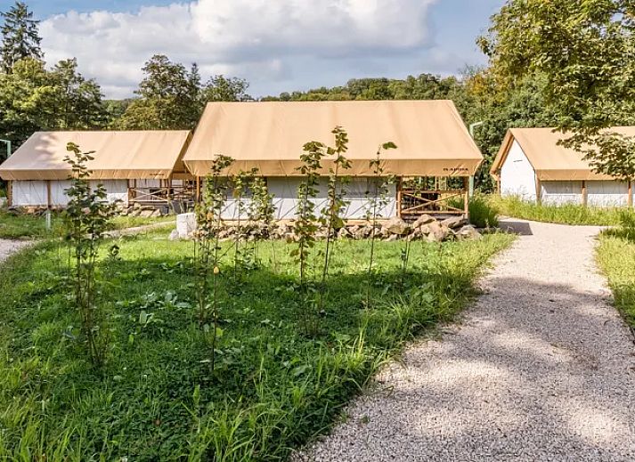 Unterkunft 082930 - Ferienhaus Namur - 4-6-persoons safaritent | 4-6ST