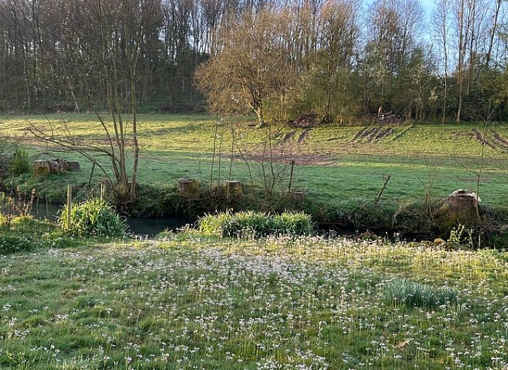Geniessen Sie den Blick ins Gruene vom Ferienhaus in Serville, das in den malerischen Ardennen in Namur, Belgien, liegt.