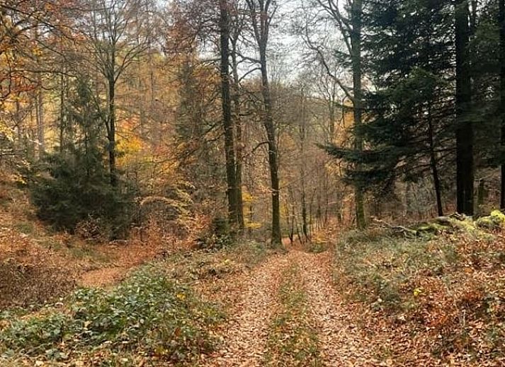 Moderne keuken in Vakantiehuis in Cornimont, Ardennen, Belgie met stijlvolle tegels en moderne apparatuur.