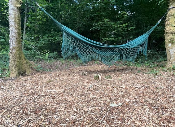 Unterkunft 083928 - Ferienhaus Namur - Vakantiehuis in Viroinval