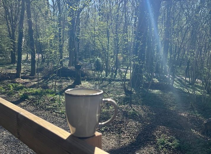 Unterkunft 083928 - Ferienhaus Namur - Vakantiehuis in Viroinval