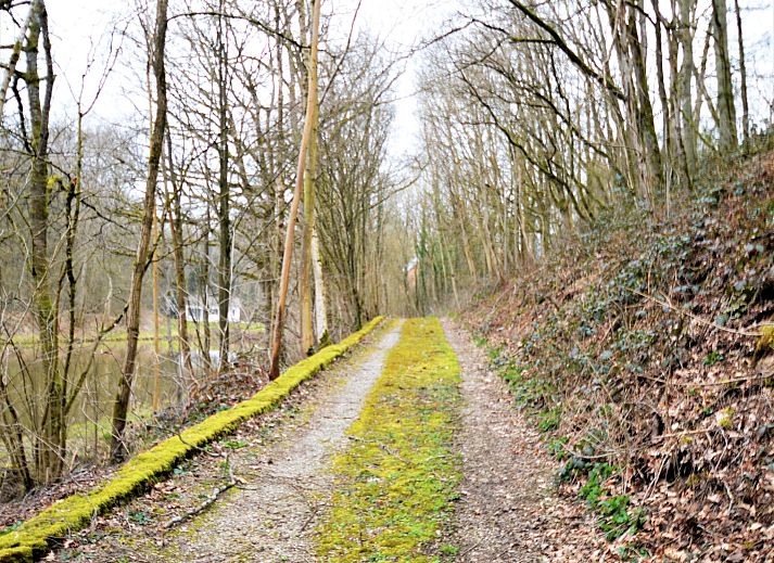 Unterkunft 0841103 - Ferienhaus Namur - La Halte des 2 Lacs
