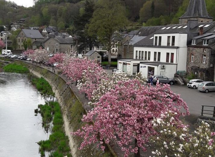 Grosser Garten mit Schaukel im Ferienhaus Juanne in Bohan sur Semois, umgeben von Natur in den Ardennen.