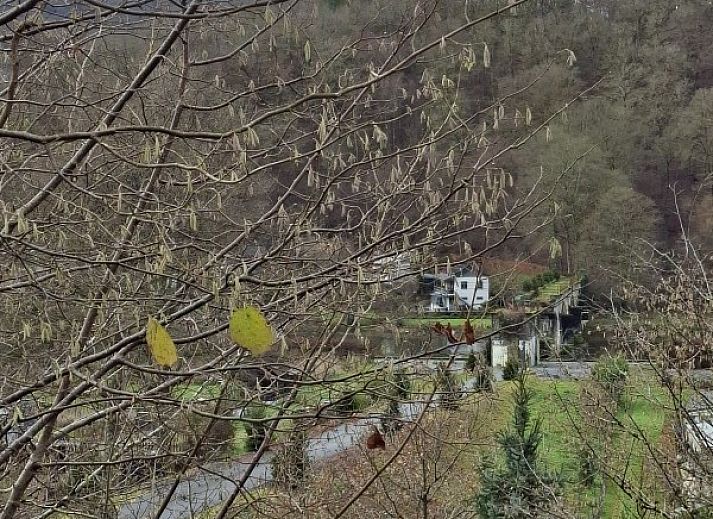 Gemuetliches Wohnzimmer des Chalet Cisland in Bohan sur Semois, Ardennen, mit Holzofen und bequemen Sitzgelegenheiten.