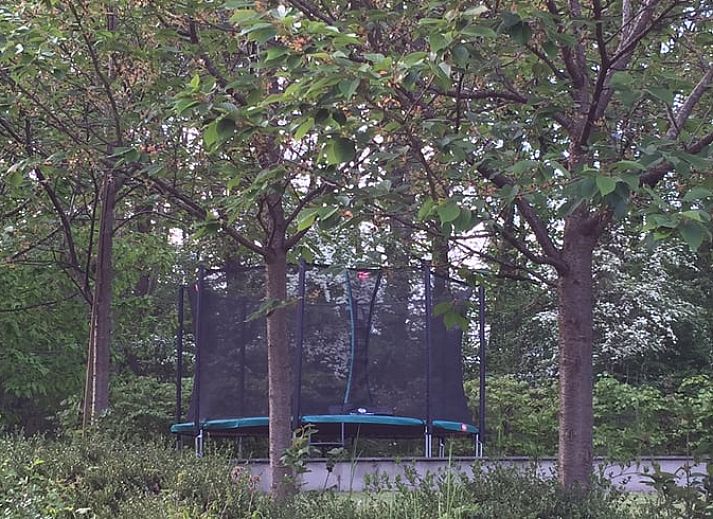 Ferienhaus in Heure, ein charmantes Ferienhaus in den Ardennen, Belgien, umgeben von Natur mit einer grossen Terrasse und schoener Aussicht.