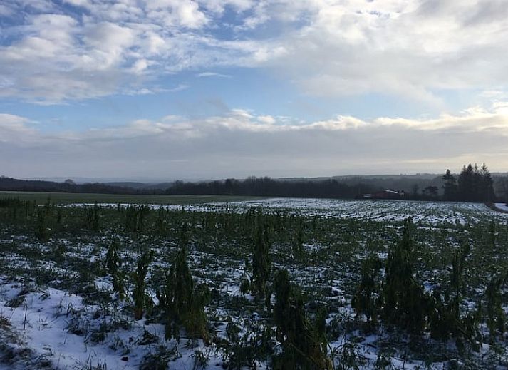 Geniessen Sie die natuerliche Umgebung im Ferienhaus in Heure, Ardennen, Belgien, mit einem Trampolin zwischen den Baeumen fuer Spass im Freien.