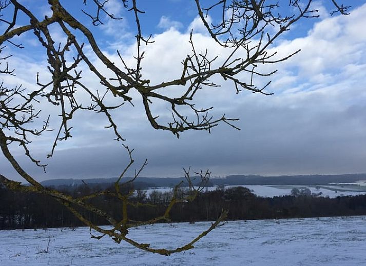 Gemuetlicher Innenbereich des Ferienhauses in Heure, Ardennen, Belgien mit grossem Esstisch und Blick auf die Natur.