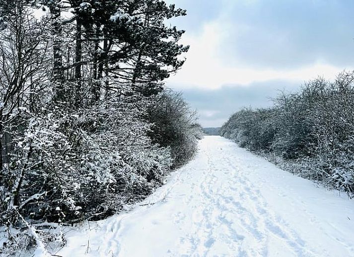 Entspannen Sie sich im Garten des Ferienhauses in Heure, mit Blick auf die gruene Umgebung der Ardennen, Belgien.