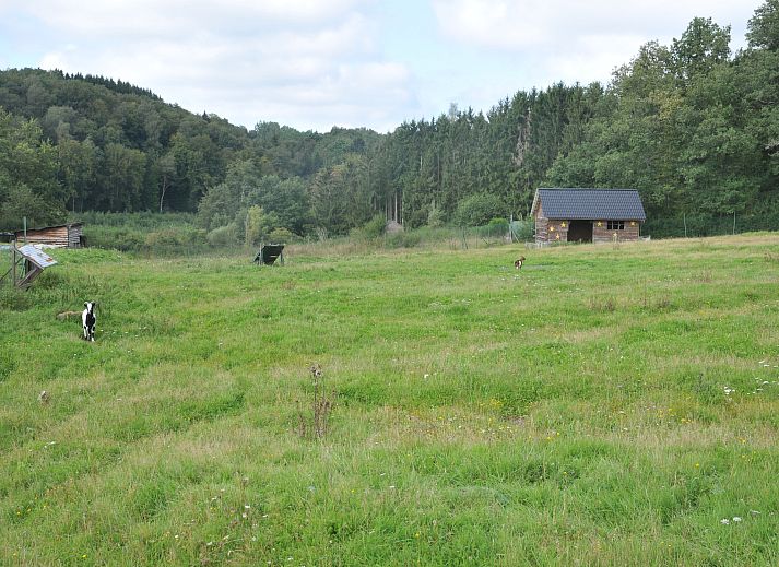 Unterkunft 084818 - Ferienhaus Namur - Le Bochetay 12