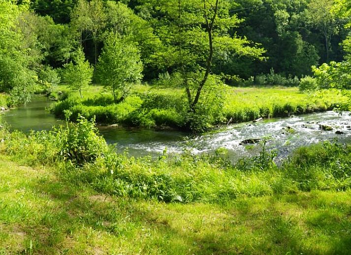 Ferienhaus in Purnode, ein charmantes Ferienhaus in den Ardennen, Belgien, umgeben von gruener Natur und rustikaler Architektur.