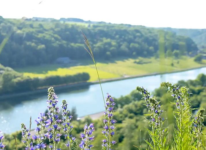 Guest house 086111 - Bungalow Namur - Het retro huisje