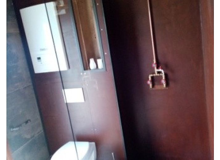 Treffen Sie den freundlichen Esel in der gruenen Umgebung von Le Wagon, einem einzigartigen Ferienhaus in Graide, Ardennen, Belgien.