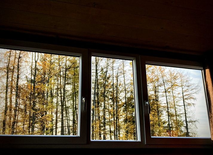 Treffen Sie den freundlichen Esel in der gruenen Umgebung von Le Wagon, einem einzigartigen Ferienhaus in Graide, Ardennen, Belgien.