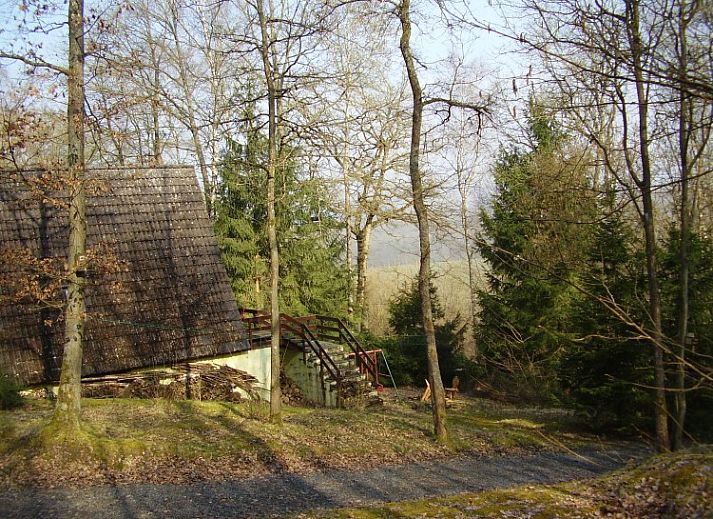 Umgeben von ueppigen Waeldern bietet das Chalet Dion in Beauraing, Ardennen, Ruhe und Natur.
