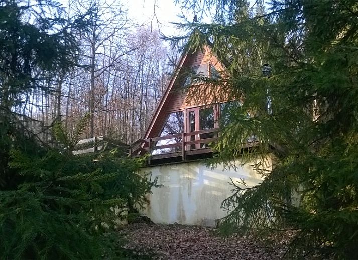 Atemberaubende Aussicht vom Balkon des Chalet Dion in Beauraing in den Ardennen, umgeben von viel Gruen.